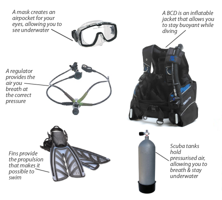 scuba